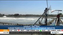Pemerintah akan Jadikan Pamekasan Sebagai KEK Garam