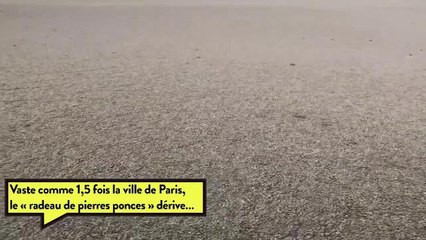 Une gigantesque « île » de pierre ponce dérive dans le Pacifique! et c'est tant mieux!