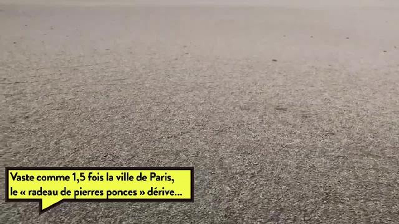 Une gigantesque « île » de pierre ponce dérive dans le Pacifique! et c'est tant mieux!