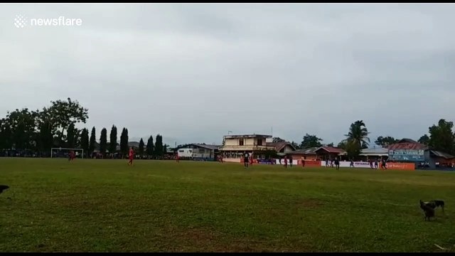 Fowl play! Flock of chickens wander onto soccer field during match in Indonesia
