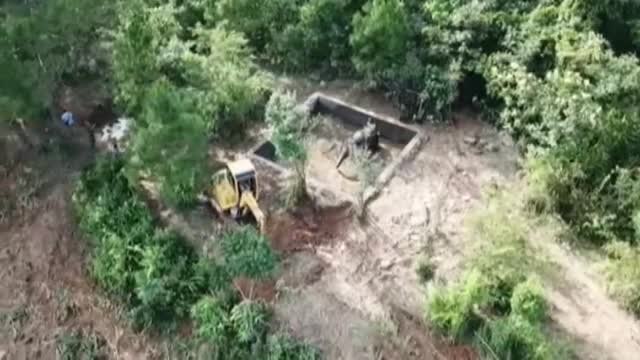 Rescatan a una cría de elefante atrapada en un estanque en China