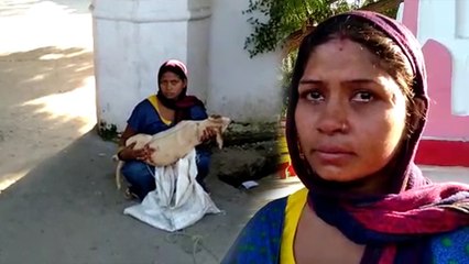 VIDEO: पड़ोसी ने झगड़े में महिला के कुत्ते को मार डाला, अलीगढ़ एसपी ने दिए मुकदमे के आदेश