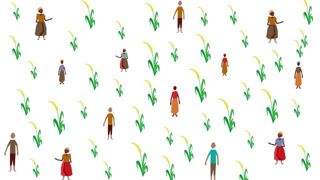 Benedict T. Palen, Jr - The importance of sunlight for Vegetable Plants