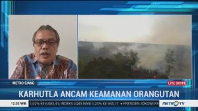 Karhutla Ancam Keamanan Orang Utan