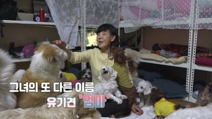 [뉴있저/소있저] 유기견의 대모, 배우 이용녀 / YTN