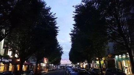 A Rennes, les étourneaux de l'avenue Jean Janvier se font entendre à la nuit tombée.