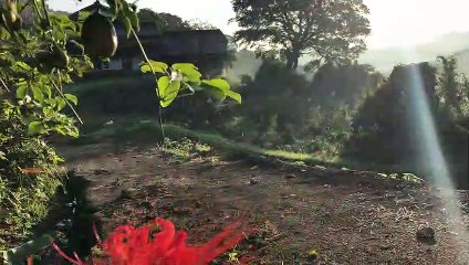 Beau paysage au Japon