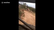 Lion chases jeep full of safari-goers in southern India