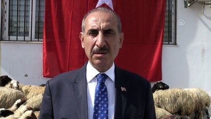 Barış Pınarı Harekatı'na destek - Askerler adına 50 kurban kesildi - ŞANLIURFA