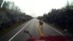 Moose Walks Away After Being Hit by Truck