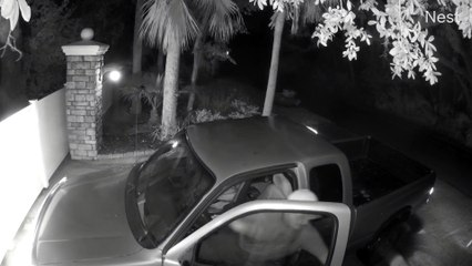 Pizza Delivery Gate Crash