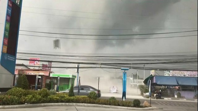 گلچین ویدئوهای بدون شرح هفته؛ از تبرک حیوانات در پرو تا جشن ۶۰ سالگی آستریکس