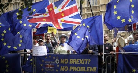 İngiltere'de yaşan AB vatandaşları, Brexit nedeniyle haklarını kaybetmekten endişe ediyor