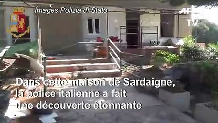 Italie: derrière une cabine de douche... une plantation de marijuana