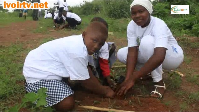 Changement Climatique: La Fondation ''Plant for the Planet'' engage les enfants de Gagnoa