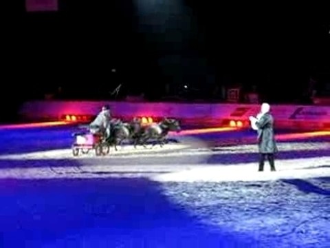 CHEVAUX MINIATURES AMERICAINS ATTELES