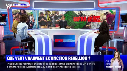Que veut vraiment Extinction Rébellion ? - 11/10