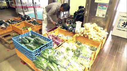 Japanology Plus - Roadside Stations