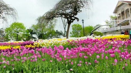 Una Madre No Entendía Porque la Hierba en la Sepultura de Su Hijo Se Mantenía Verde