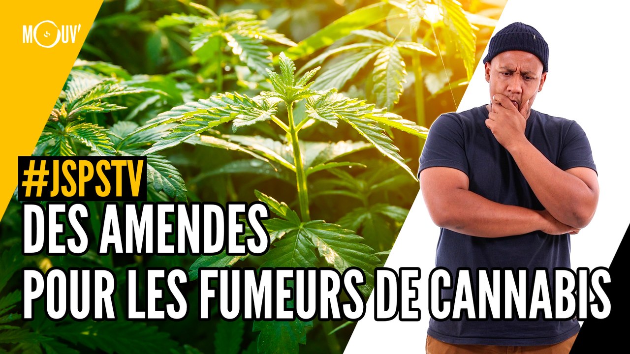 Je sais pas si t'as vu... les nouvelles amendes pour les fumeurs de cannabis