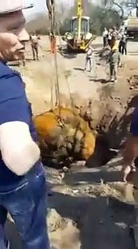 Cette météorite découverte en Argentine est la 2ème plus grosse au monde