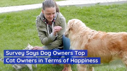 Dog Owners Are More Happy On Average