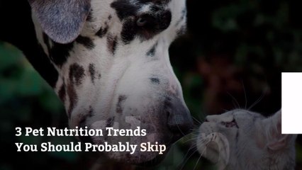 3 Pet Nutrition Trends You Should Probably Skip