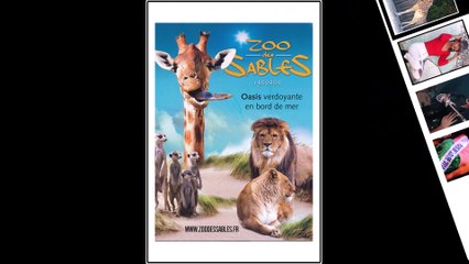 Visite au Zoo des Sables D ' Olonne , Vendredi 11 Octobre 2019