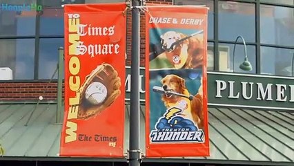 Derby and Rookie - Trenton Thunder Bat Dogs