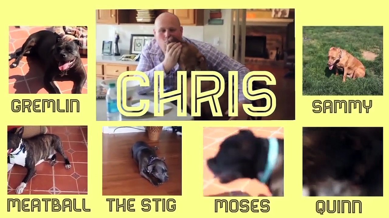 Meet the Life in the Dog House Family - LITDH 1