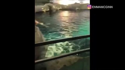 Este hombre se desnuda y sumerge en un acuario lleno de tiburones