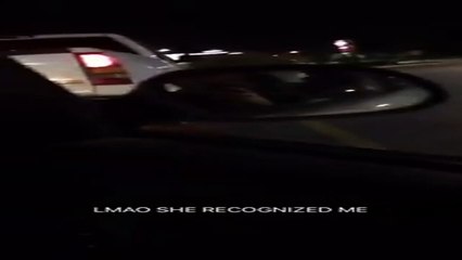 Denuncian a esta perra que se hacía pasar por callejera para que le dieran hamburguesas