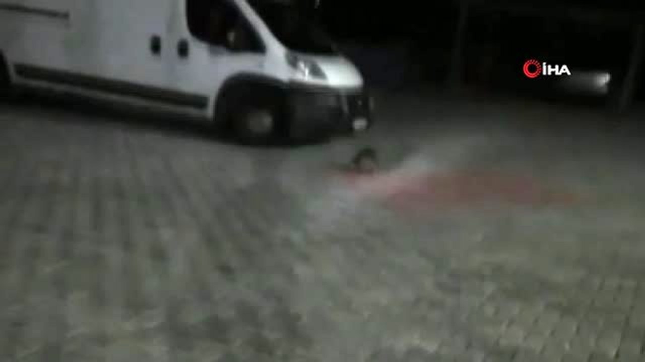 Tekirdağ'da su maymunu gören vatandaş hem korktu hem şaşırdı