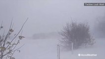 Blizzard blasts the countryside