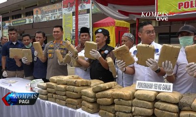 169 Kg Ganja Dimusnahkan Polrestabes Medan