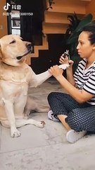 学位证书文凭学历认证Q/微29304199修改GPA成绩切斯特大学文凭毕业证成绩单切斯特大学文凭毕业证成绩单offer英国大学学历,雅思托福成绩单,在读证明/留信网认证/使馆认证公正University of Chester