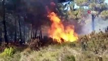 İstanbul'da orman yangınlarına ilişkin 3 PKK'lı gözaltına alındı