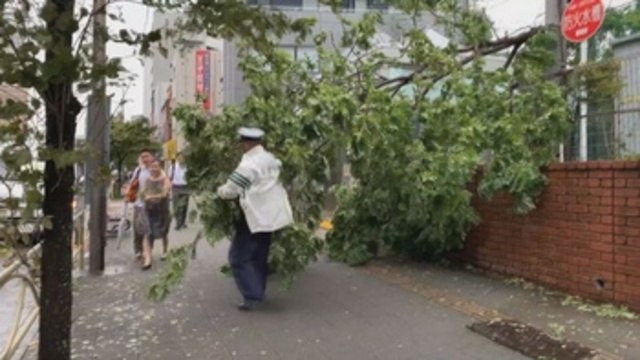Autoridades japonesas emiten órdenes de evacuación en cuatro provincias