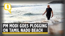 PM Modi Goes Plogging in TN Beach Ahead of Talks with Xi Jinping