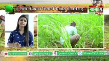 Haryana में सरकार ने Organic fertilizers पर लगाया पूर्ण प्रतिबंध | Kisan Bulletin | Grameen News