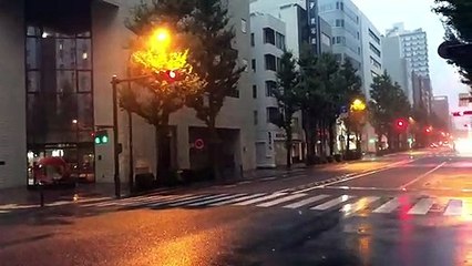 Japon : un vent de plus en plus fort à Yokohama