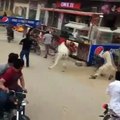 Cow Qurbani | Funny Compilation of Cow Running in Karachi Road | Eid Ul Adha 2018 & 2019