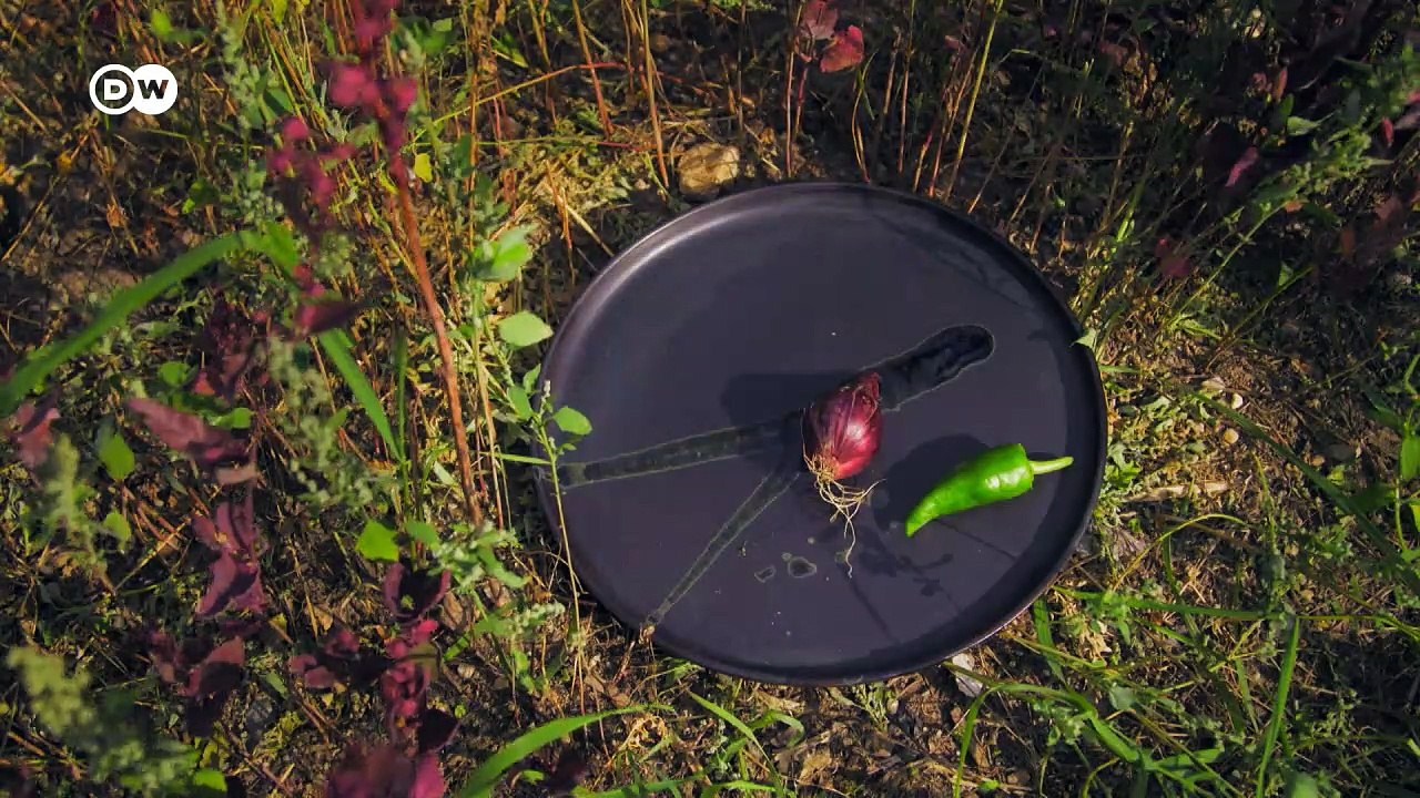 Vegetarisch mit Stern: 'Seven Swans' | Euromaxx