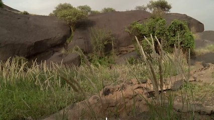 من أبها "البهية" ظافر عابدين ضيف حلقة #لفة_المملكة