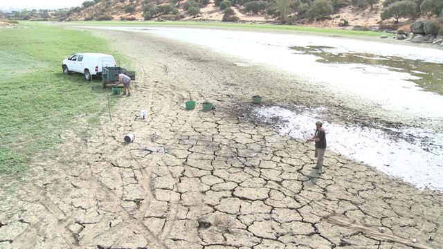 Valencia del Ventoso restringe el agua debido a la sequía