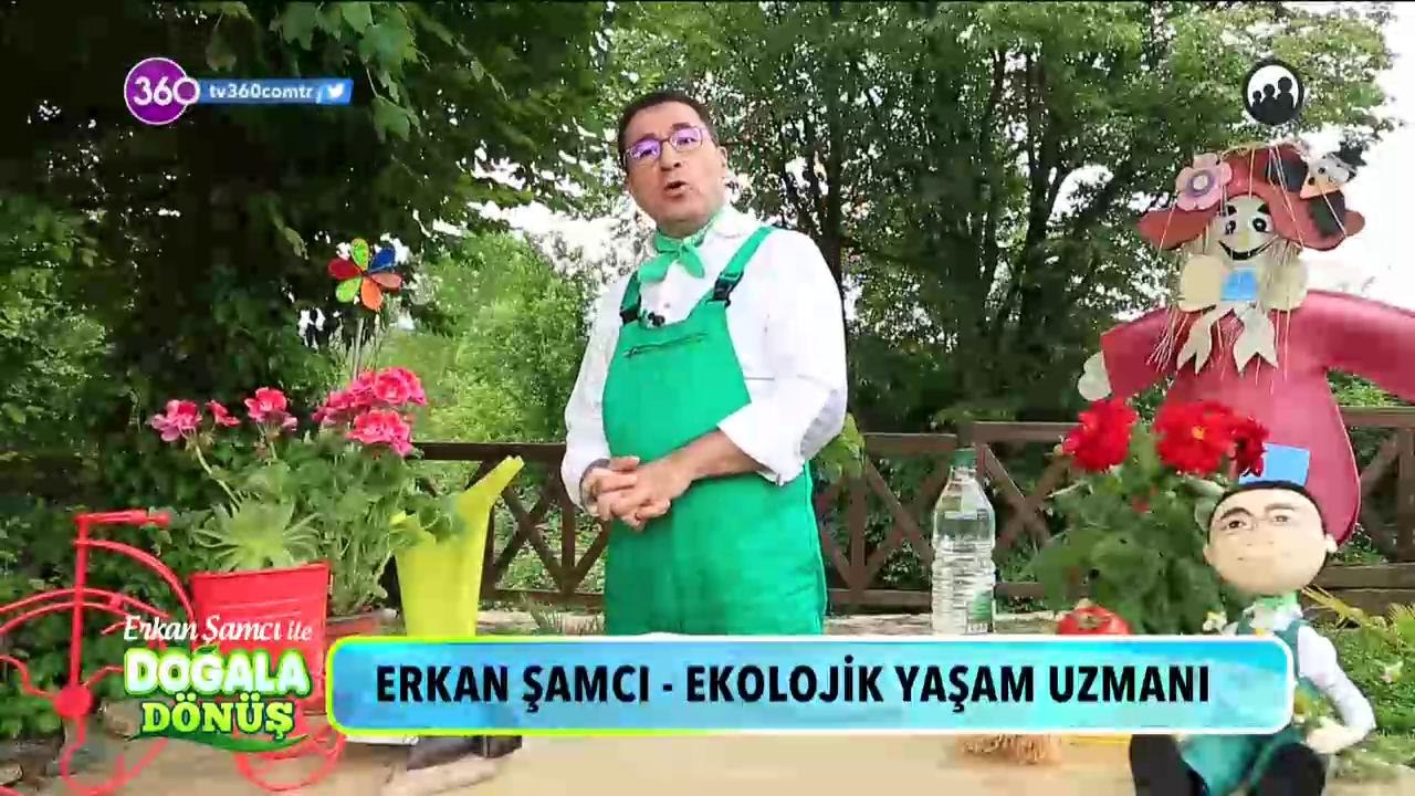 Doğala Dönüş