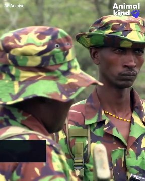 These are the most endangered mammals on the planet