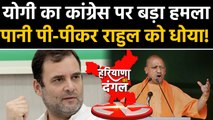 Haryana Election: CM Yogi ने कांग्रेस को बताया आतंकी समर्थक। वनइंडिया हिंदी