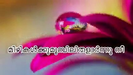 watsapp status video malayalam