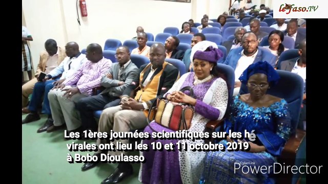 Bobo-Dioulasso Des acteurs réfléchissent à la lutte contre les hépatites virales